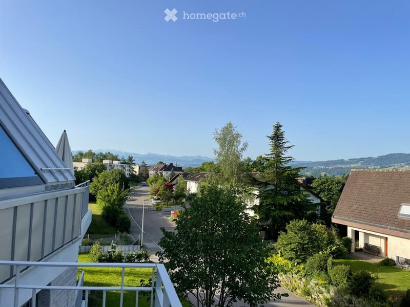 Balcony overlooking a residential street with houses, trees, and distant mountains under a clear blue sky.