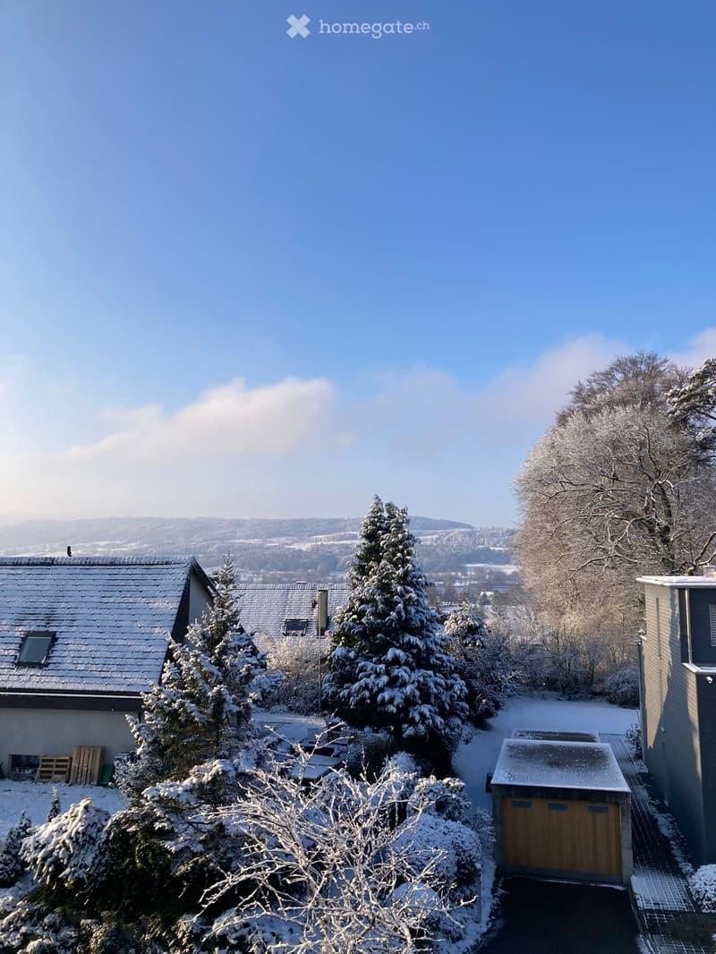 A snow-covered residential house with a garage, surrounded by snow-laden trees and a clear blue sky in the background.