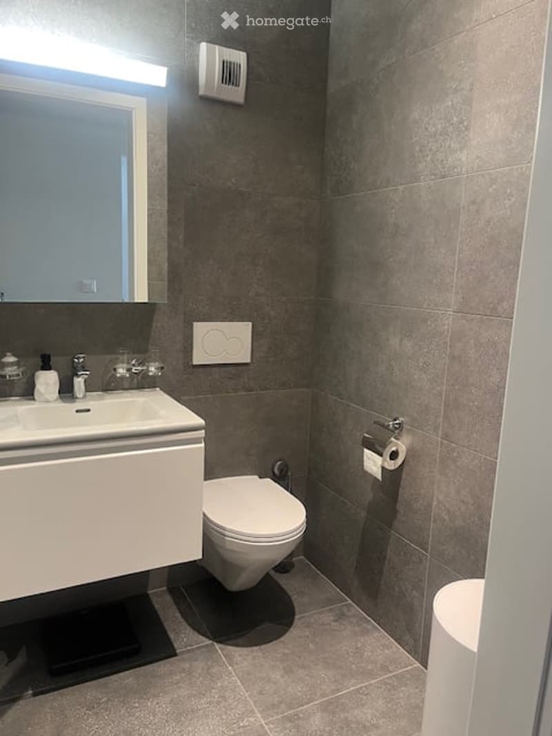Modern bathroom with grey tiled walls and floor, white sink with chrome faucet, toilet, and a mirror above the sink.