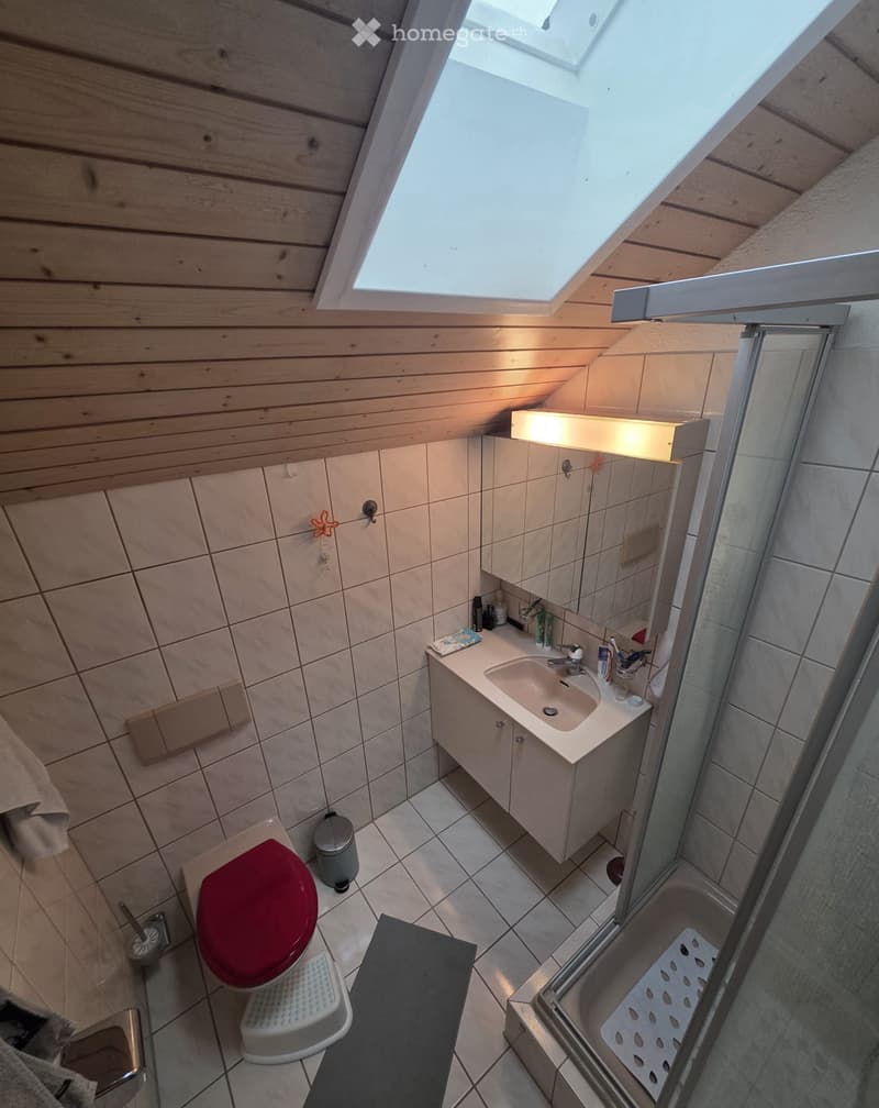 Bathroom with a red toilet, white sink, mirror, and a shower area. Features tiled walls and wooden ceiling with a skylight.