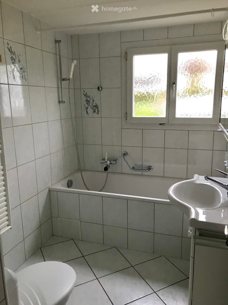 Bathroom with white tiled walls and floor, featuring a toilet, bathtub with a handheld shower, a sink with a faucet, and a handrail next to the bathtub. Two windows provide natural light.