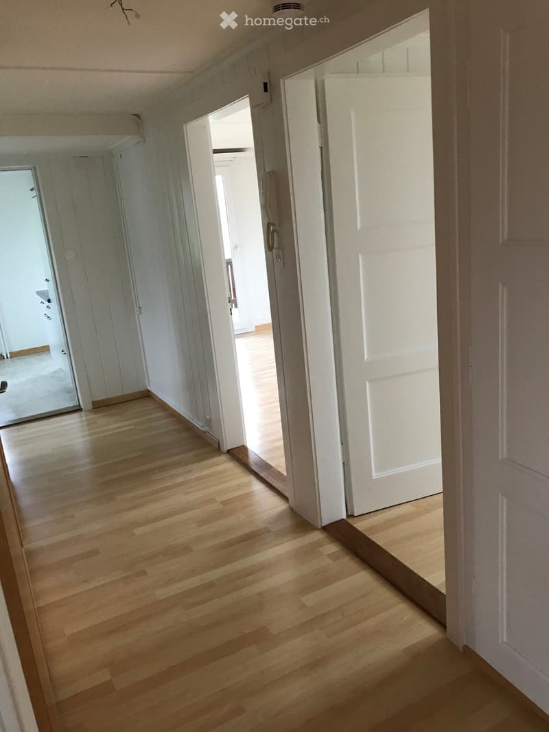 Empty hallway with light wooden flooring, white walls, and several closed doors leading to other rooms.