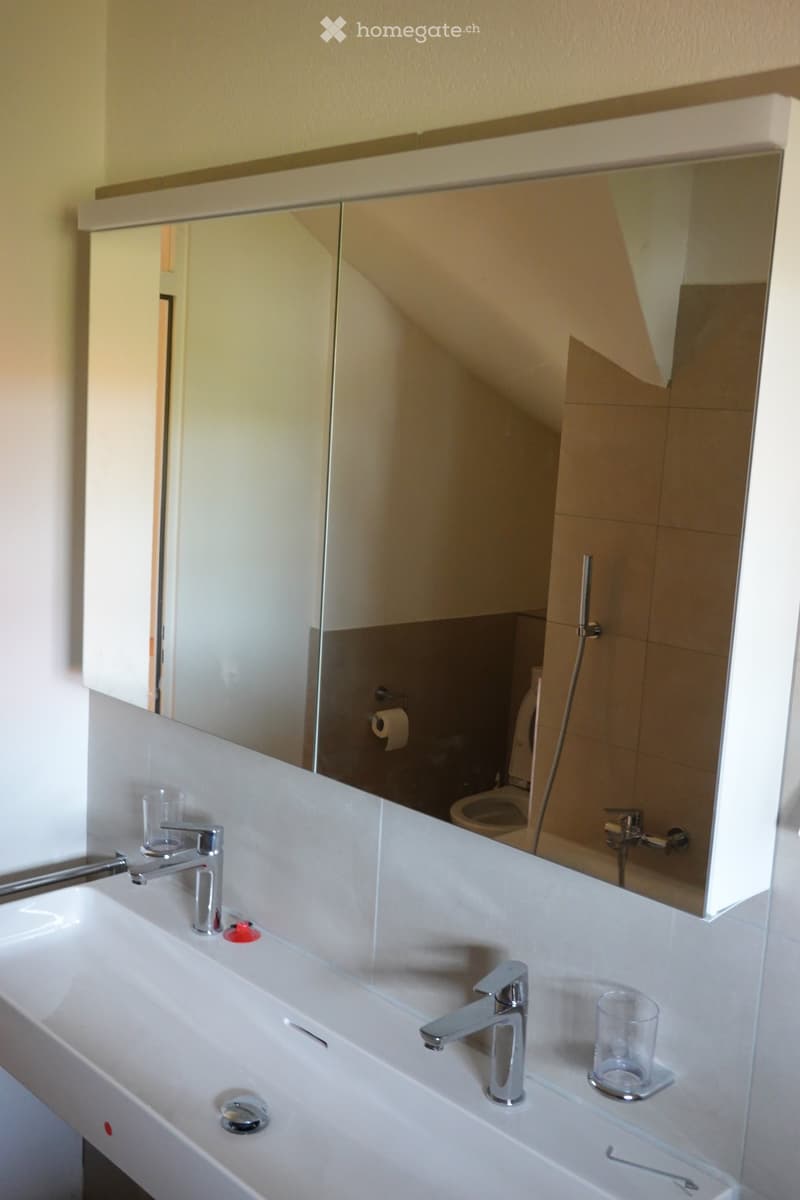 Modern bathroom with a white sink, dual faucets, a large mirror, and a visible toilet in the reflection.