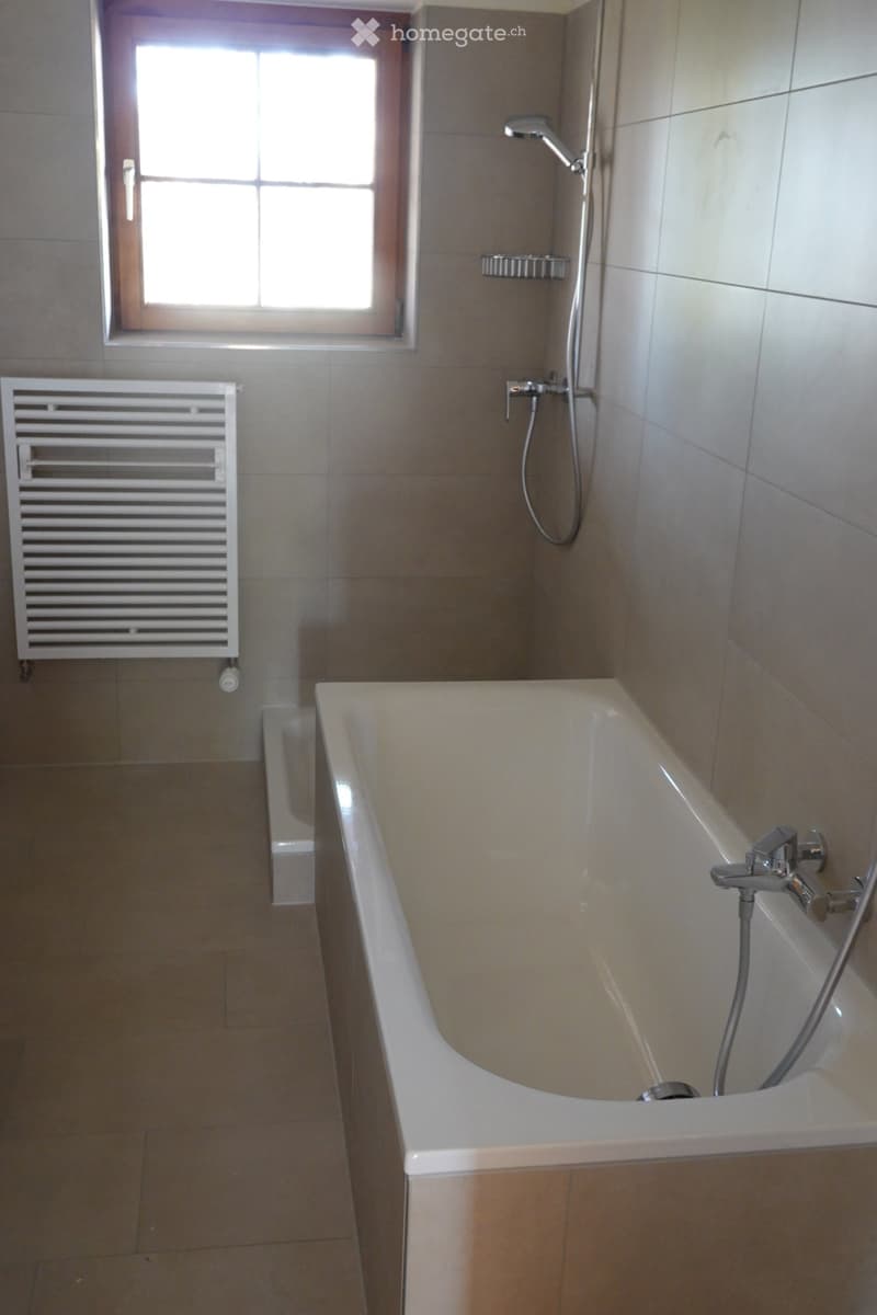 Modern bathroom with a white bathtub, tiled walls, a radiator, and a showerhead with a handheld sprayer.