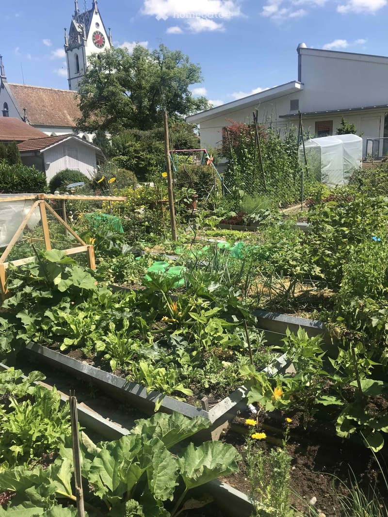 Large garden, rows of vegetables, various types of plants, trees, white greenhouse