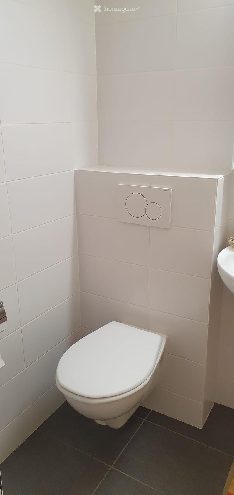 Modern bathroom with white tiled walls, dark tiled floor, toilet, and sink visible.