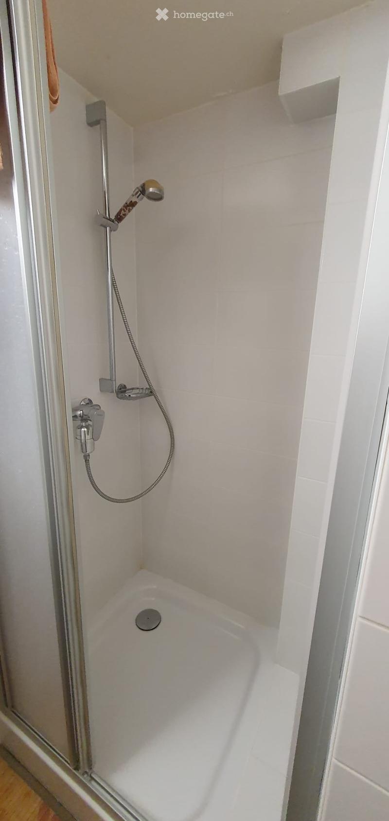 Modern bathroom with a white bathtub and a handheld showerhead attached to the wall.