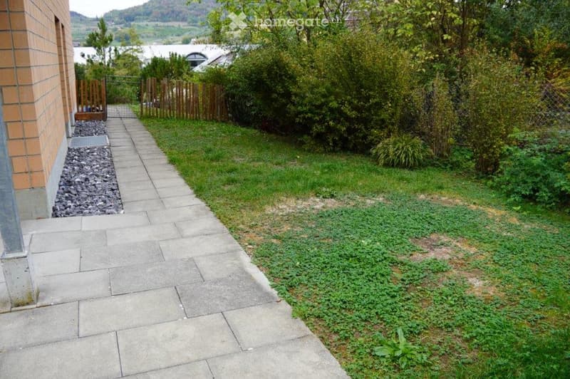 A paved pathway leads from a house to a grassy garden area bordered by a wooden fence. The garden includes various shrubs and trees, with a gravel area near the house.