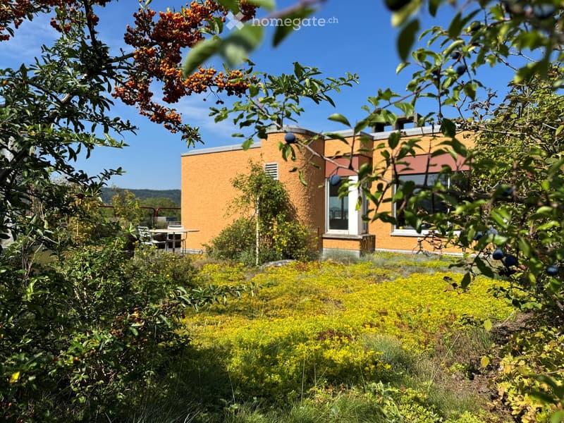 Garden / Outdoor Area. A modern building with orange brick walls and large windows is surrounded by a lush garden with various plants, shrubs, and trees bearing berries.