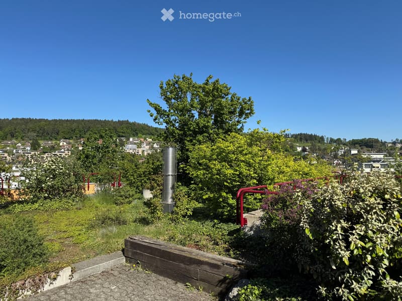 Garden / Outdoor Area. A lush rooftop garden with various plants, trees, and a wooden bench, offering a scenic view of a town and surrounding hills.