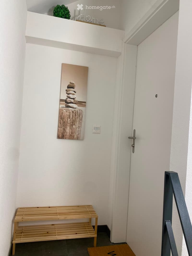 A modern hallway with white walls, a wooden shoe rack, a framed picture of stacked stones, and a small plant on a shelf above a door.