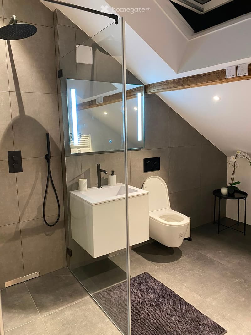 Modern bathroom with a white sink, toilet, large mirror, and a glass-enclosed shower area. Features include a sleek faucet, a small black table with a flower vase, and a gray bath mat.