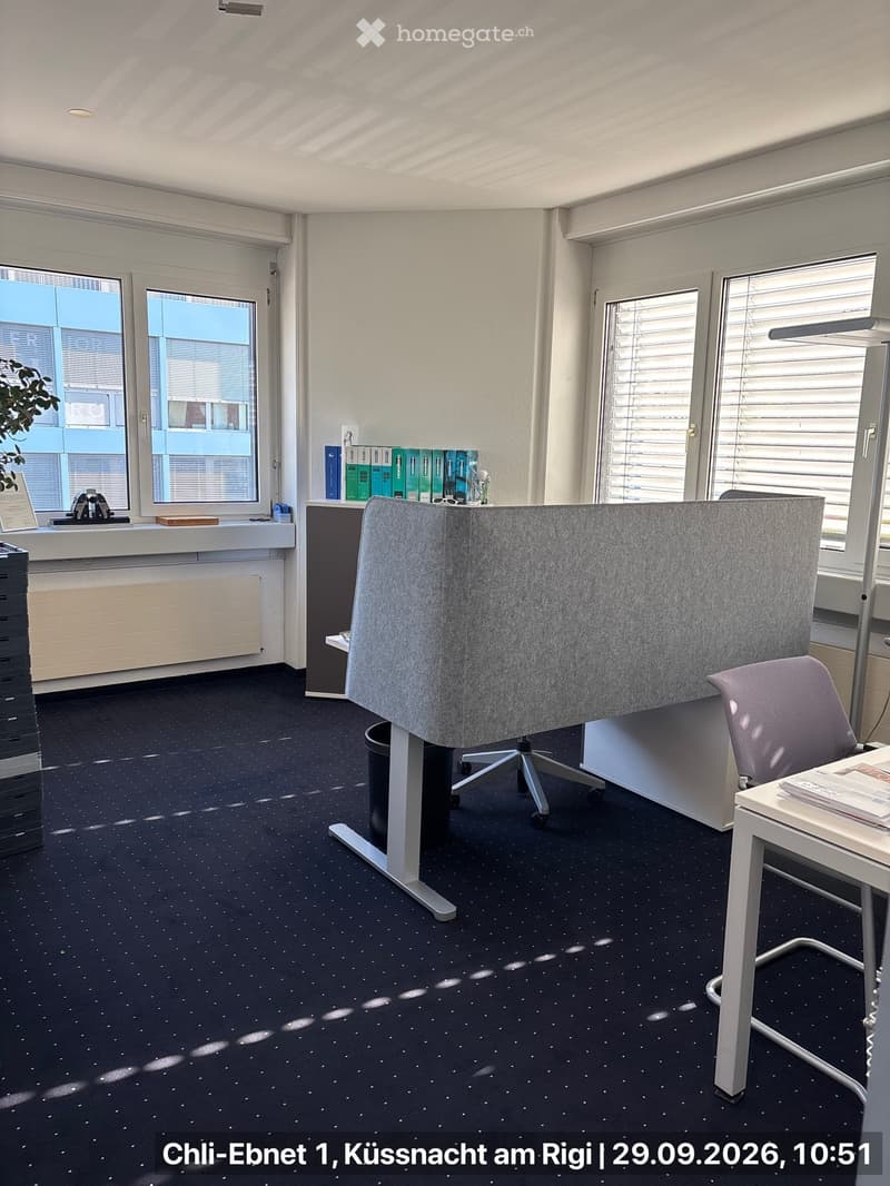 Office space with a grey screen divider, office chair, desk, table, and books on a shelf. Large windows with blinds and a plant near the window.