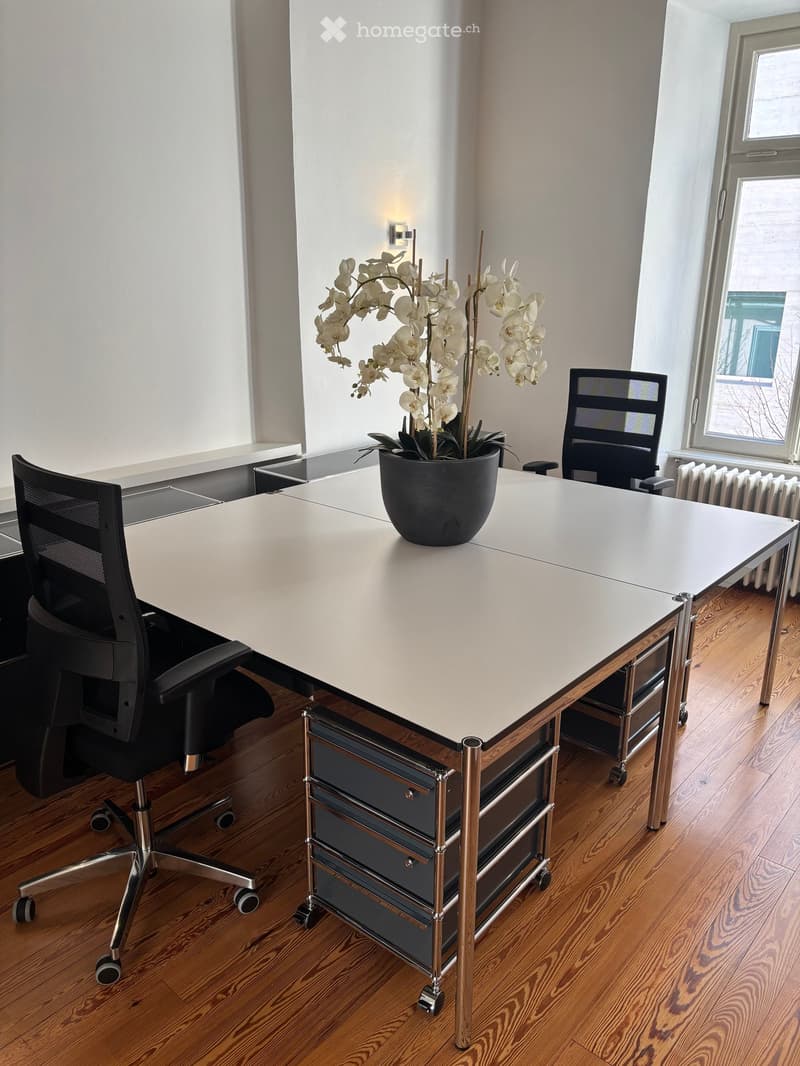 Modern office space with a large white table, two black office chairs, and a decorative flower pot on the table. The room has wooden flooring and large windows allowing natural light.