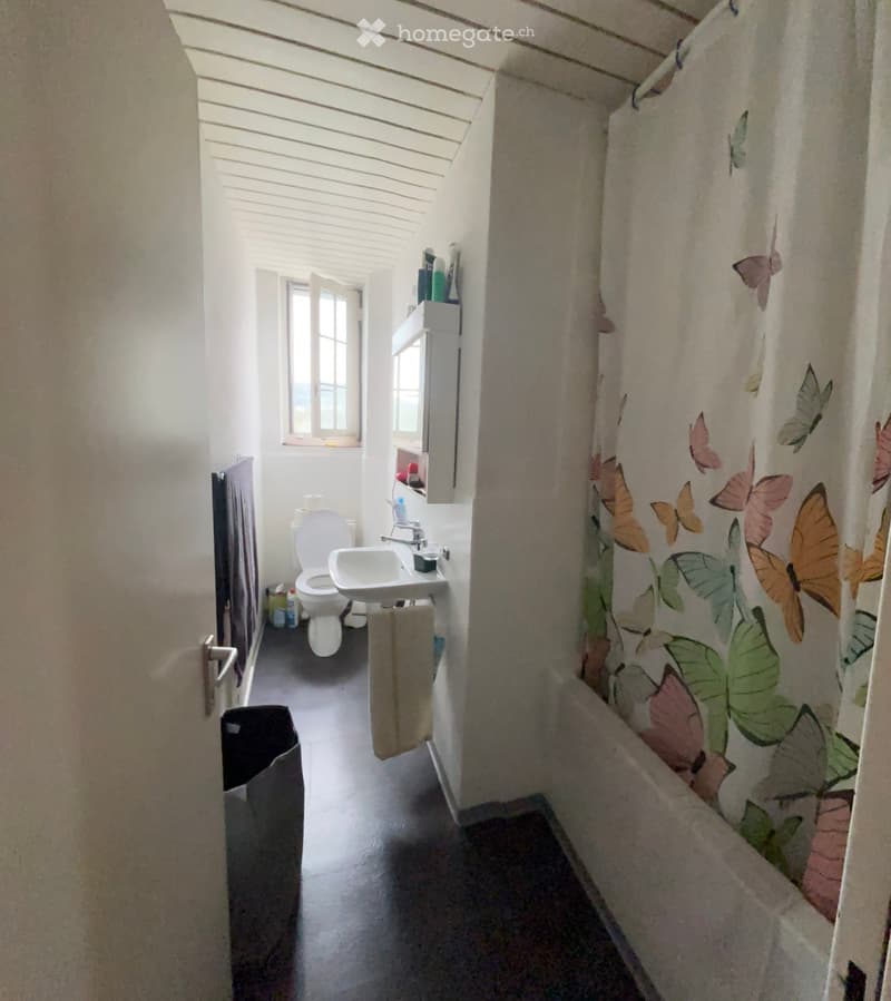 Small bathroom with a toilet, sink, and shower curtain featuring butterfly designs. The room has a window and a small shelf with toiletries.
