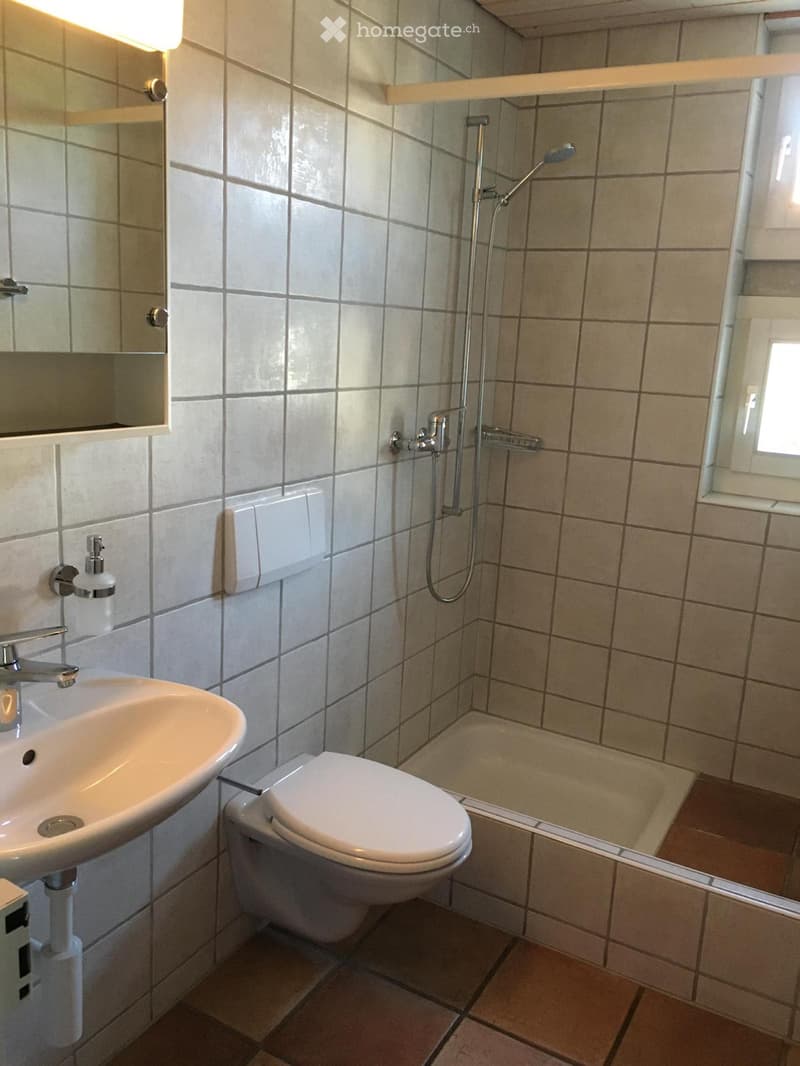 Bathroom with toilet, shower, sink, and mirror