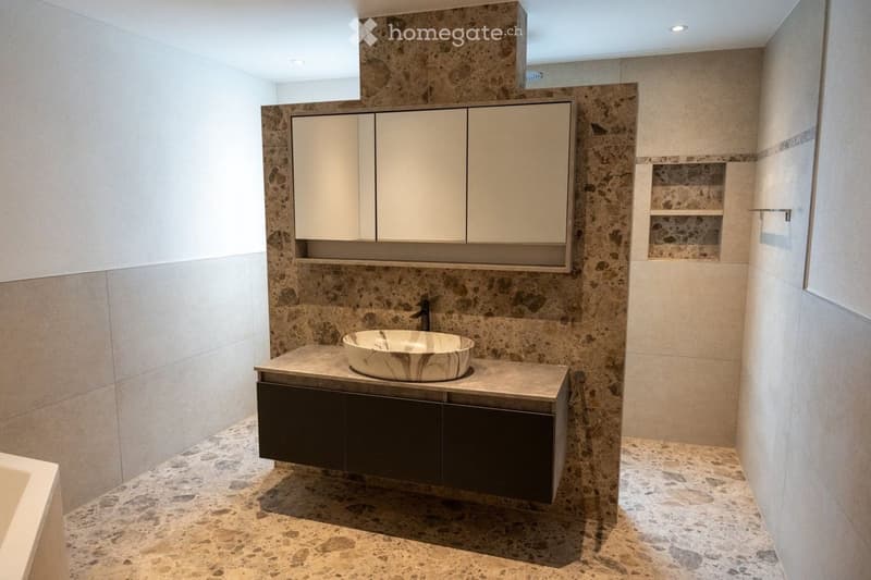 Modern bathroom with a stone sink, sleek cabinetry, and a large mirror above the sink.