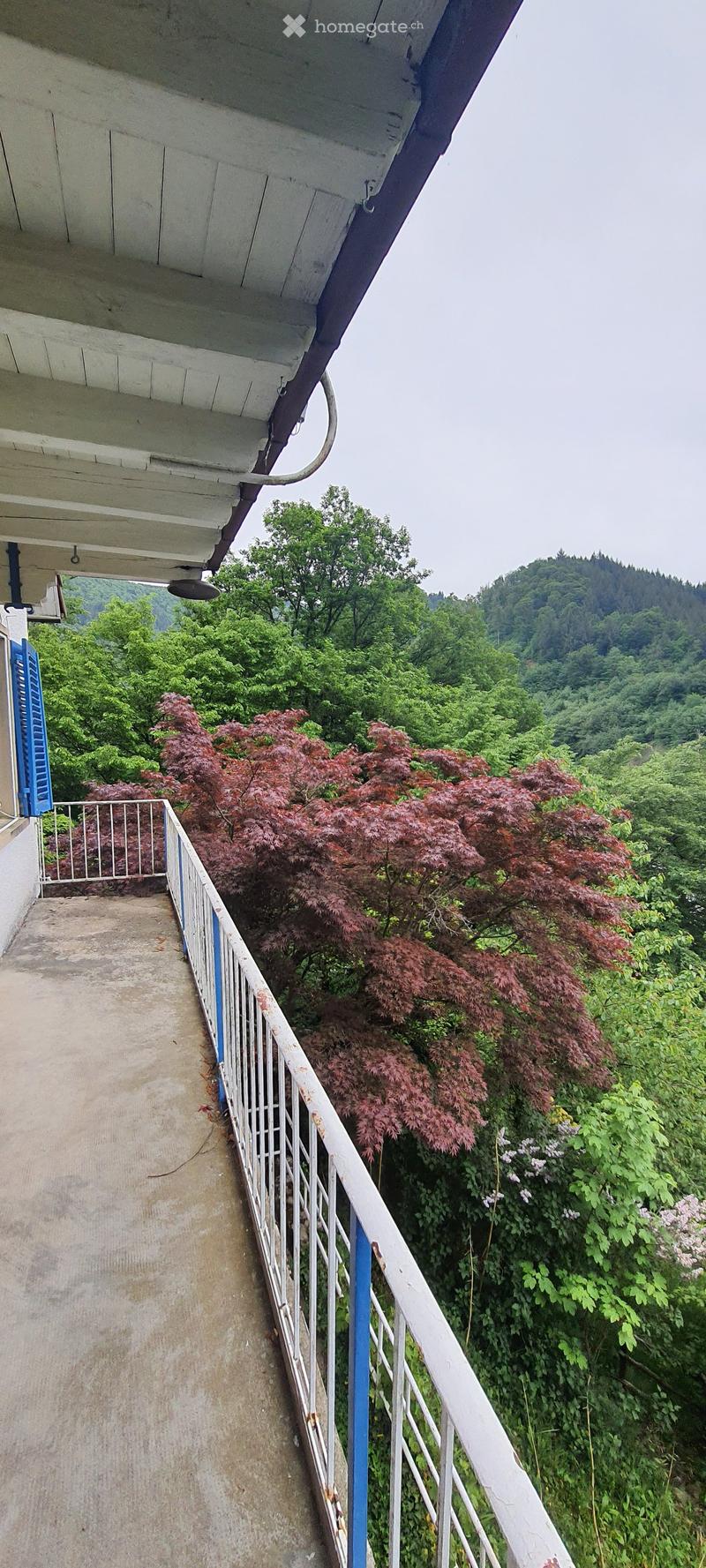 Balcony with white railing, overlooking a lush green landscape with trees and a distant hill.