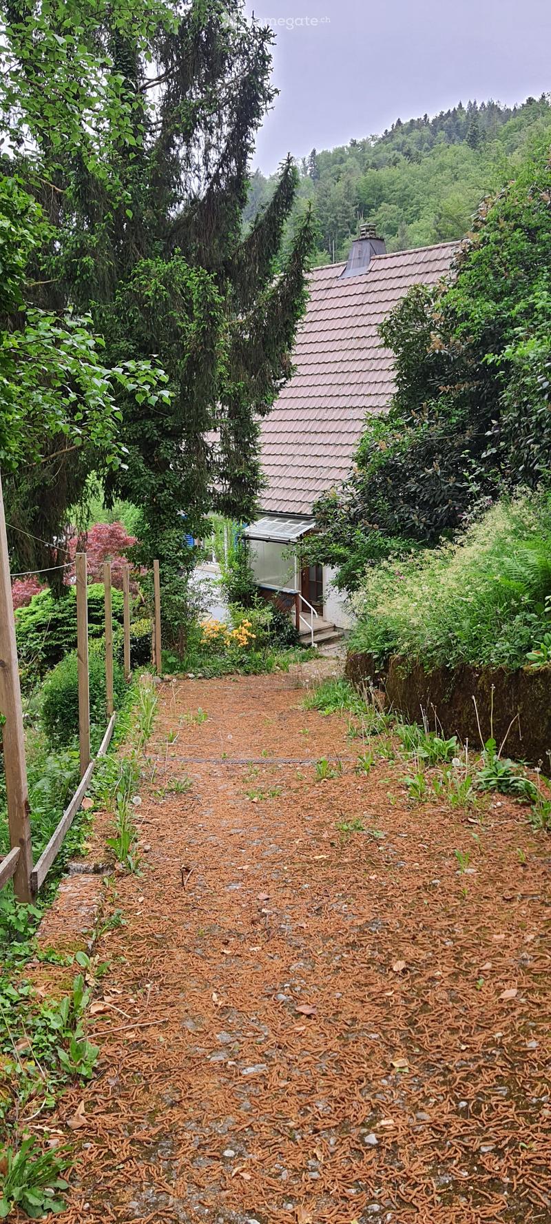 A garden path lined with mulch and rocks leads to a small house surrounded by lush greenery and trees.