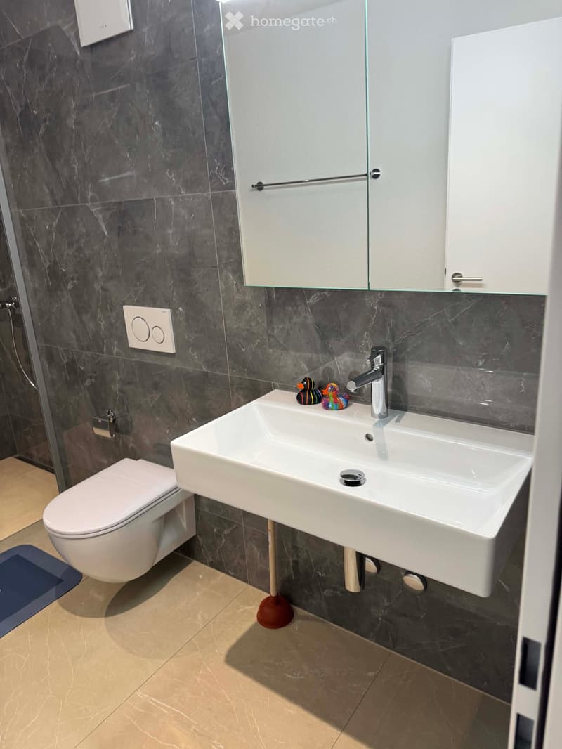 Modern bathroom with dark marble walls, white sink, chrome faucet, toilet, and a large mirror above the sink. Two rubber ducks are placed on the sink.