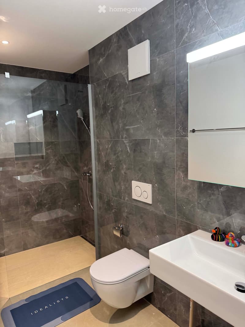 Modern bathroom with dark marble walls, a white toilet, a white sink with two rubber ducks, a glass-enclosed shower, and a blue bath mat on the floor.