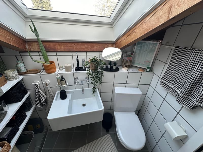 Modern bathroom with white tiles, a sink, toilet, mirror, and decorative plants on the counter.