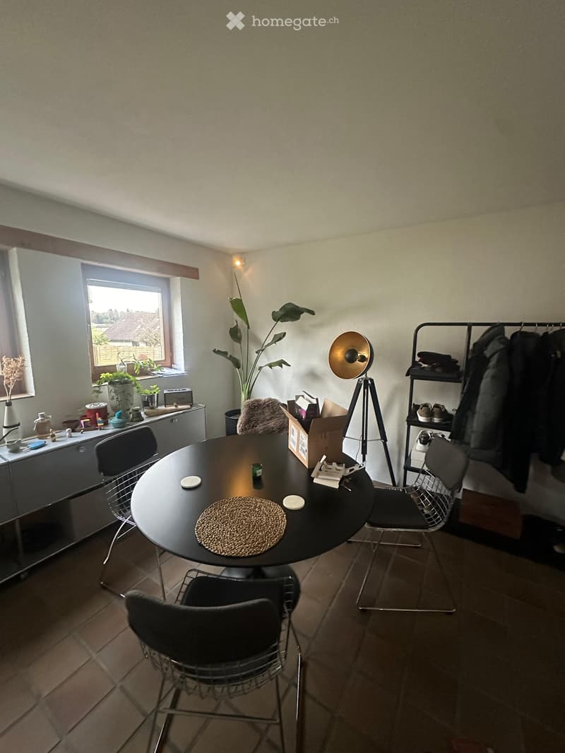A modern, well-lit room with a round black dining table, four black chairs, a sleek cabinet, a floor lamp, and a tall plant near the window. The room features tiled flooring and a cozy, contemporary design.