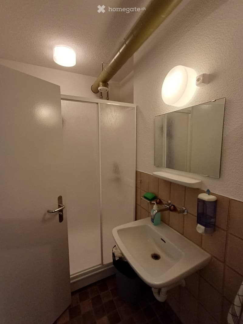 Small bathroom with a white sink, mirror, soap dispenser, and a door leading to a shower area.