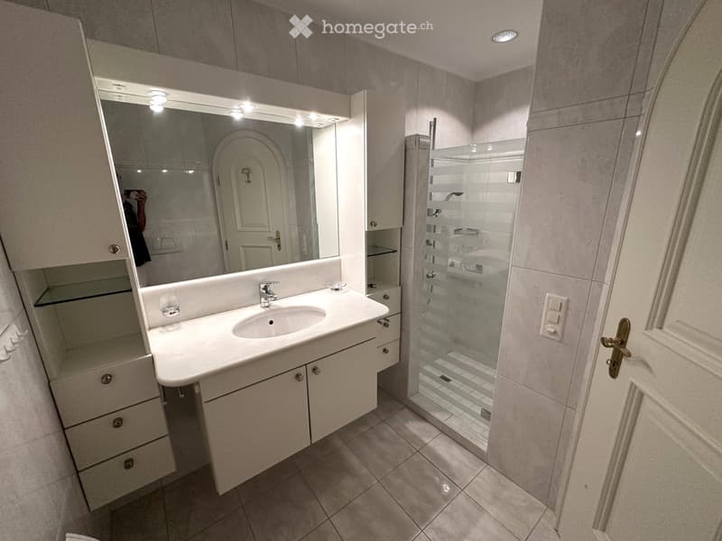Modern bathroom with a white sink, large mirror, built-in cabinets, and a glass-enclosed shower area.