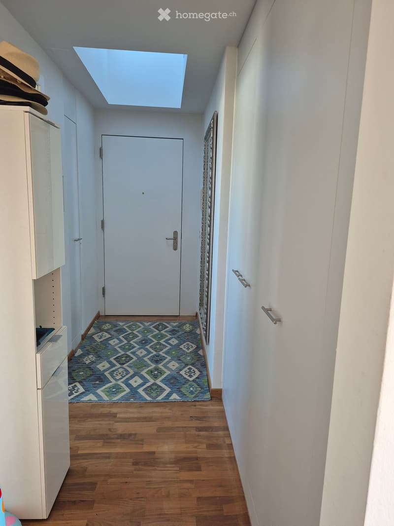 A narrow hallway with wooden flooring, white walls, and a blue patterned rug. A white cabinet is on the left, and a door is at the end of the hallway.