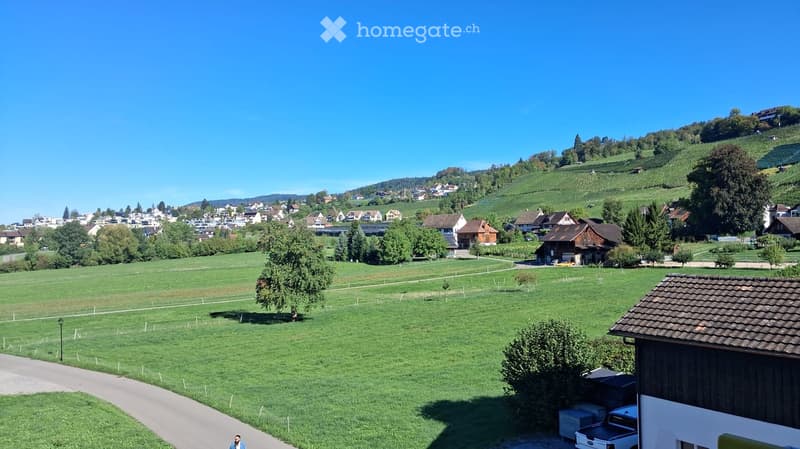 A panoramic view of a rural village with green fields, scattered houses, and a clear blue sky.