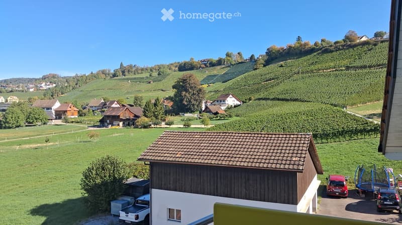 A scenic countryside view with vineyards, houses, and a clear blue sky. The foreground shows a wooden shed, a parked car, and a trampoline.