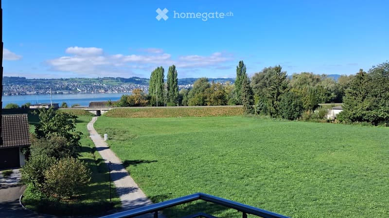 A well-maintained green lawn with a gravel pathway leading to a distant view of a city and lake, surrounded by trees and a bridge.
