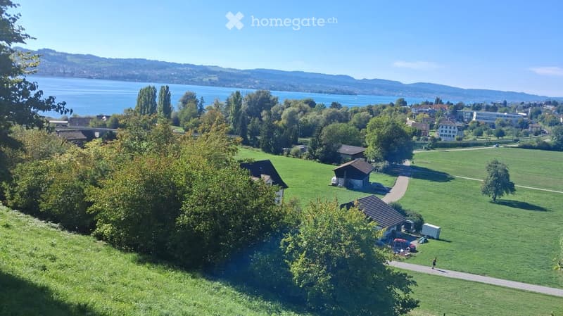 A panoramic view of a lush green park area with scattered trees, a few houses, and a distant lake and mountains under a clear blue sky.