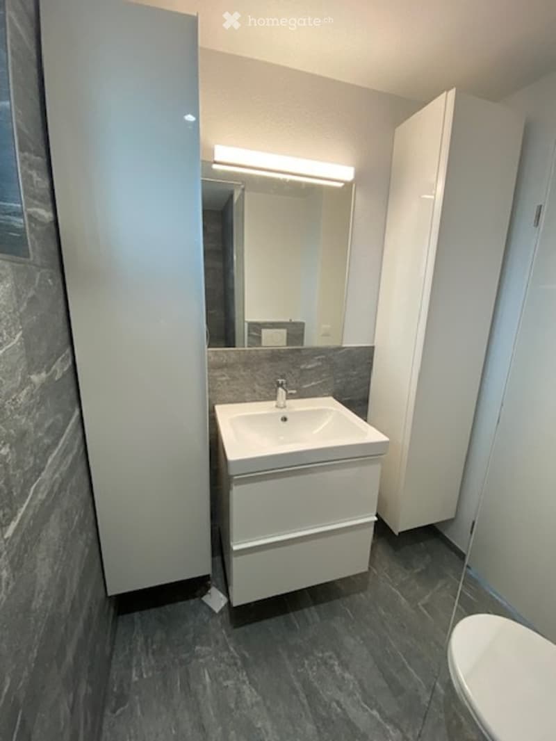 Modern bathroom with a white sink, mirrored cabinet, and sleek dark grey tiles on the floor.