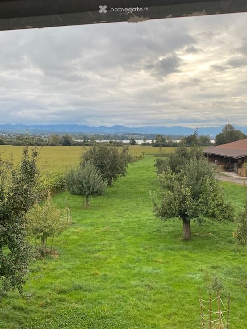 A lush green garden with several trees, a small wooden shed, and a view of a field and distant mountains under a cloudy sky.