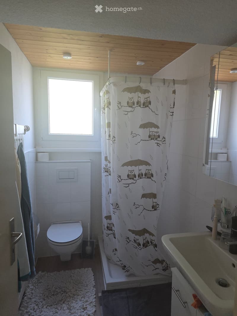 Bathroom with a toilet, sink, shower curtain featuring owls and umbrellas, towel, mirror, and light fixtures.