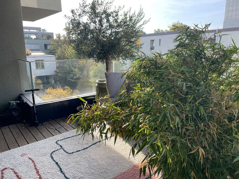 Balcony with wooden decking, glass railing, potted plants, and a single chair.