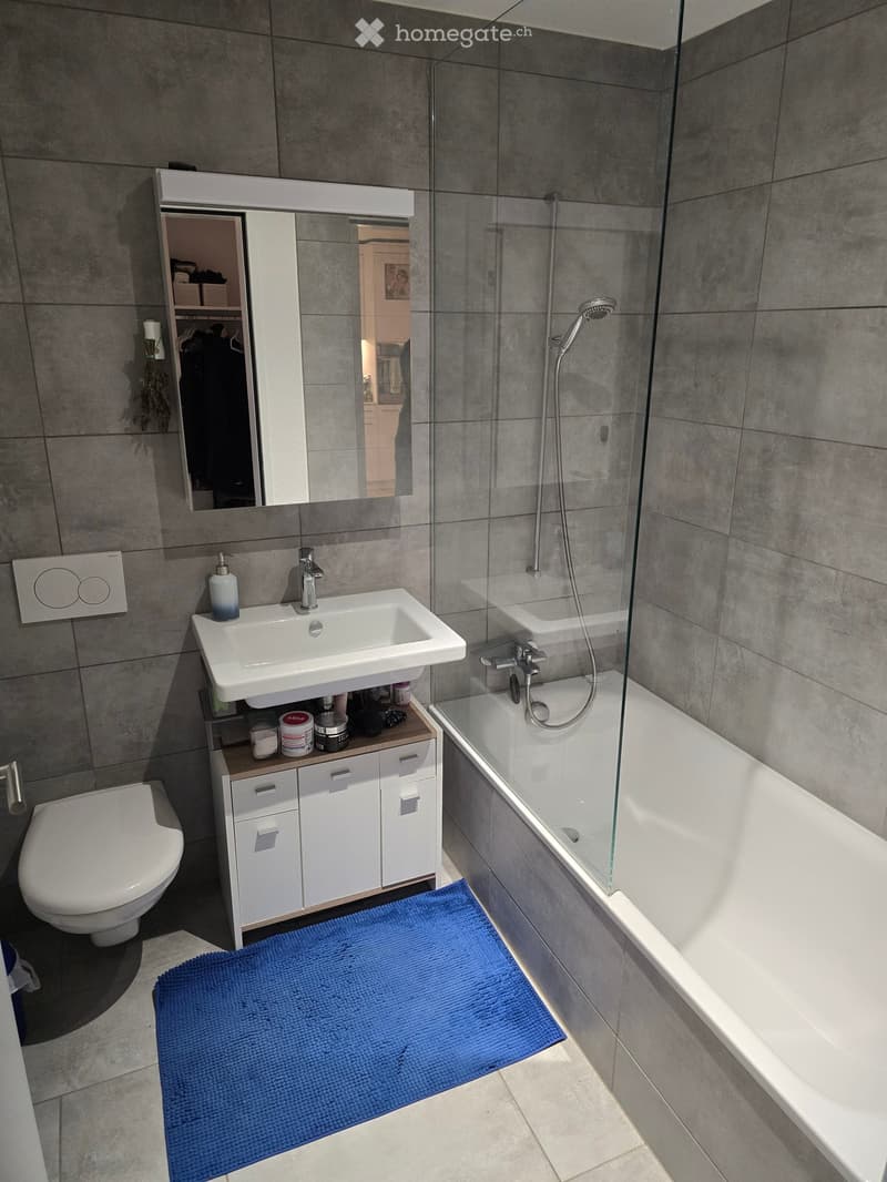Modern bathroom with a white sink, toilet, bathtub with glass enclosure, and a large mirror above the sink. The floor has a blue bath mat, and the walls are tiled in gray.
