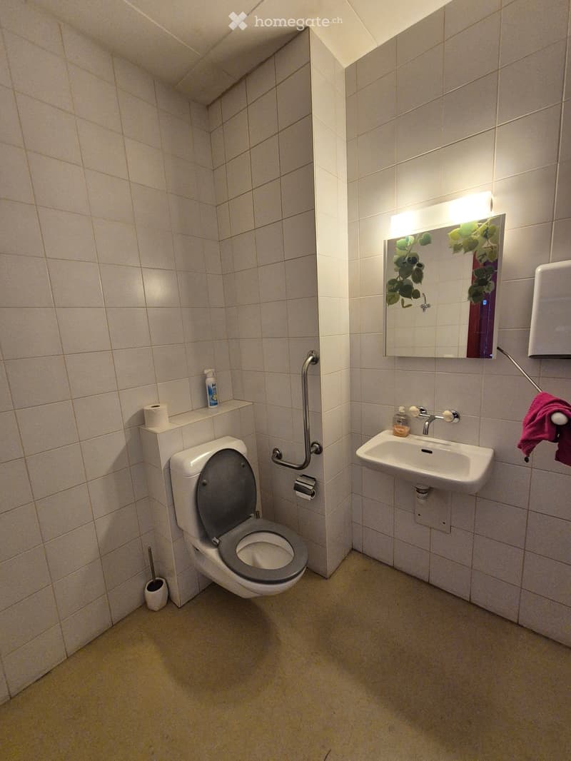 A small bathroom with a toilet, sink, mirror, and handrail. The walls are tiled, and there is a towel hanging on a rack.