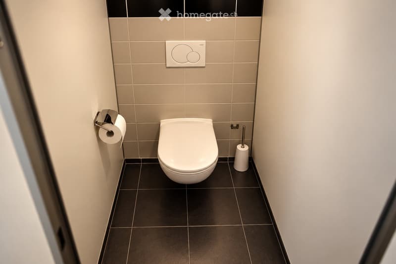 Modern bathroom with a white toilet, dark tiled floor, beige tiled walls, toilet paper holder, and toilet brush holder.