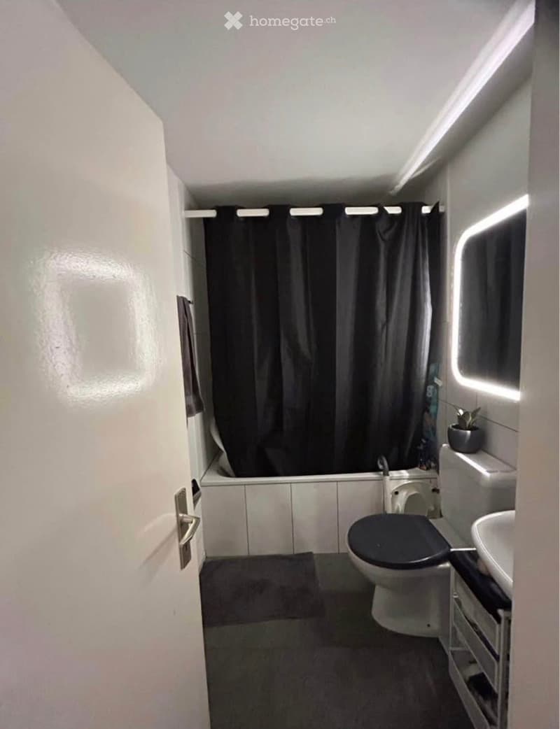 Compact bathroom with a toilet, sink, bathtub, and a small plant on the counter. The space features white tiled walls and a dark grey shower curtain.