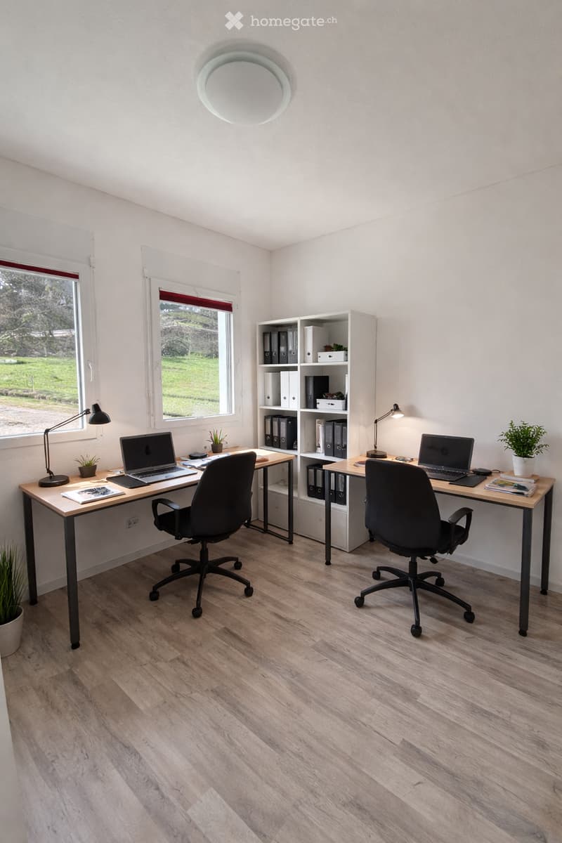 Modern, well-lit office space with two desks, laptops, ergonomic chairs, a bookshelf, and small plants. Natural light from large windows.