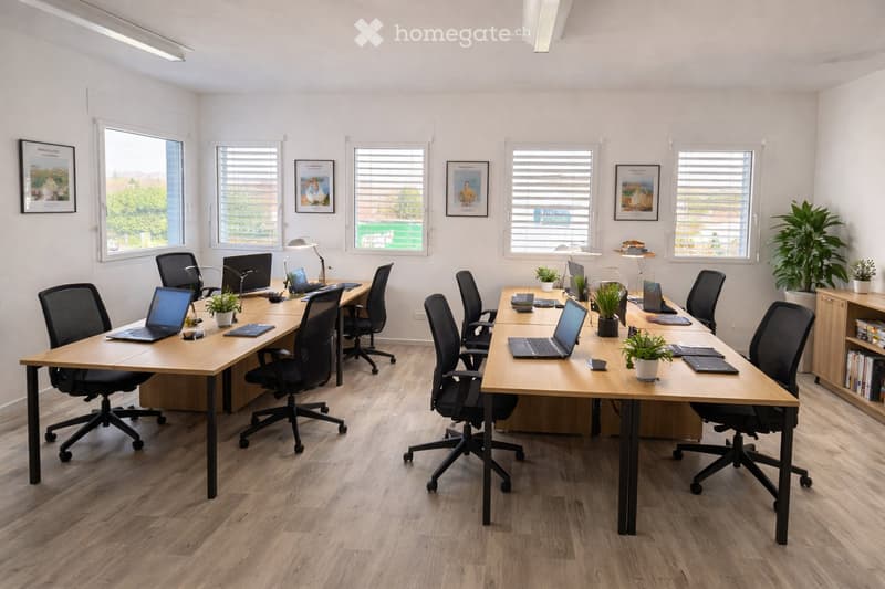 Bright, modern office space with wooden tables, ergonomic chairs, laptops, small potted plants, and framed artwork on the walls.