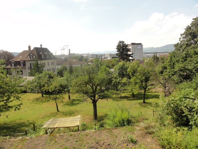 A grassy area with scattered trees and a small shed, with a house and distant buildings in the background.