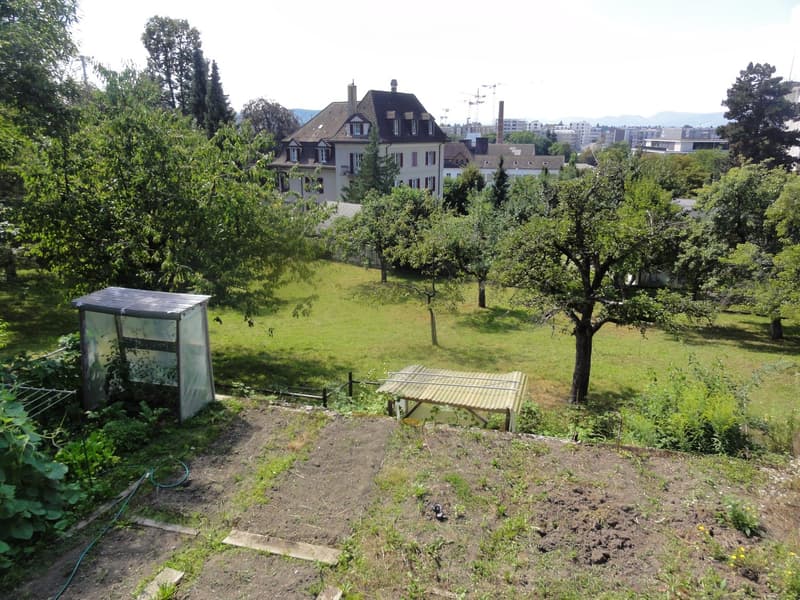 Garden with raised beds, greenhouse, fruit trees, and a view of a house and cityscape in the background.