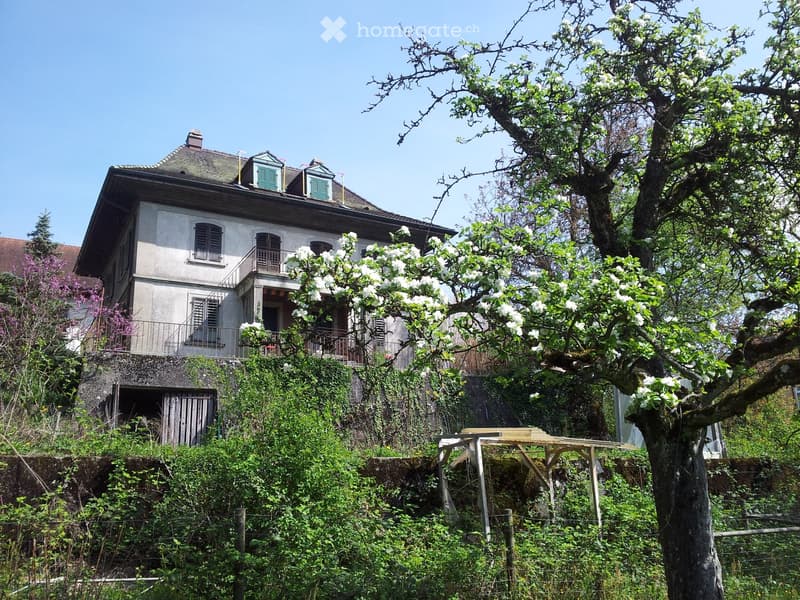 Two-story house with a raised ground floor, surrounded by greenery and a blooming tree.