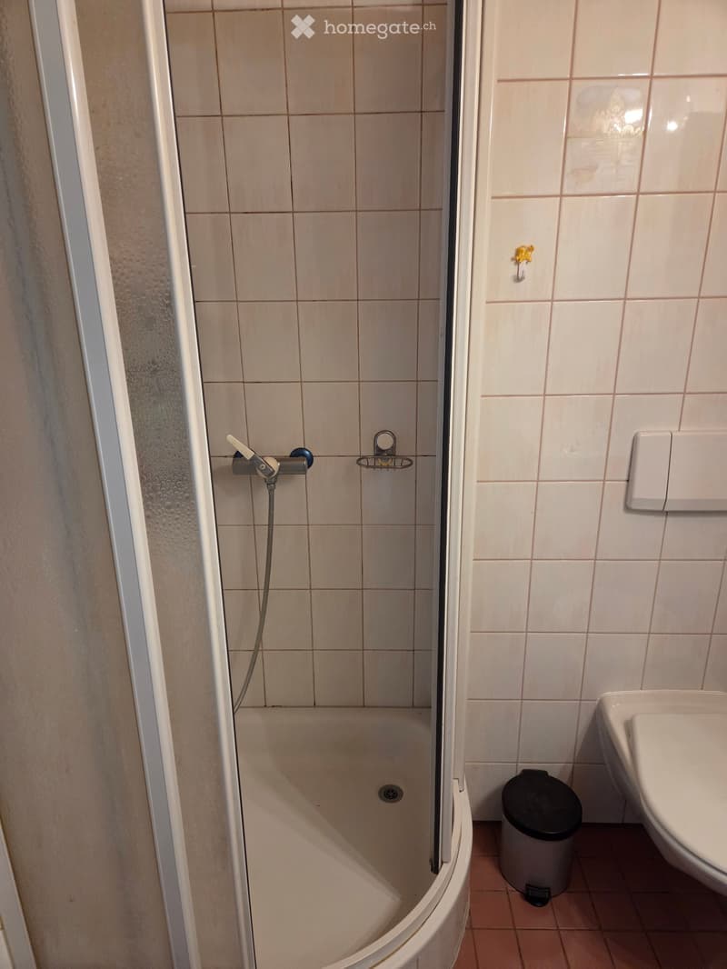Bathroom with a shower stall, toilet, and a small trash bin. The shower has a handheld sprayer and a built-in seat. The walls are tiled in beige, and the floor is tiled in a warm tone.