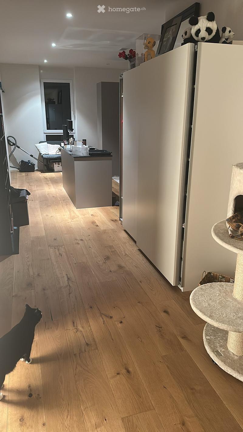 A well-lit hallway with light wooden flooring, white walls, and a cat walking on the floor. There is a cat tree on the right side and a small table with items on the left side.
