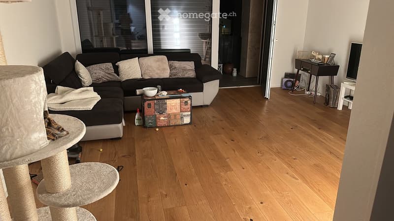 Living room with wooden floor, black sectional sofa, cat tree, small table with bowl, TV screen, and a small table with a cup and picture frame.